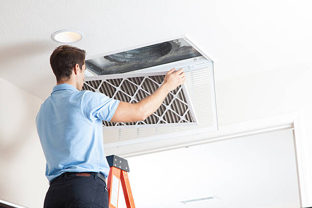 Best HVAC air duct cleaning  in Gilbert, MN